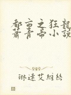 都市之狂龙战神萧青帝小说