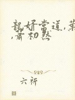 龙婿当道,叶辰,萧初然