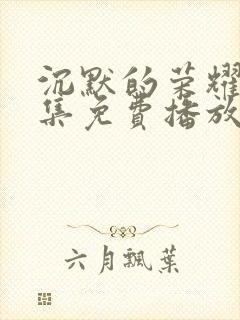 沉默的荣耀40集免费播放网站大全封面