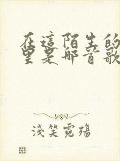 在这陌生的城市里是哪首歌的歌词