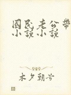 国民老公带回家小说小说