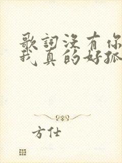 歌词没有你陪伴我真的好孤单原唱