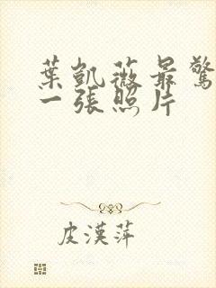 叶凯薇最惊艳的一张照片