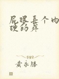 屁眼长个肉球硬硬的疼