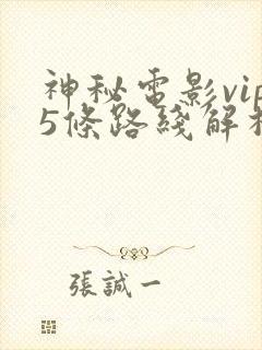 神秘电影vip5条路线解析