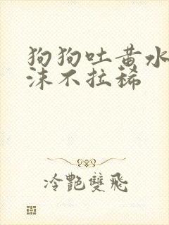 狗狗吐黄水带泡沫不拉稀