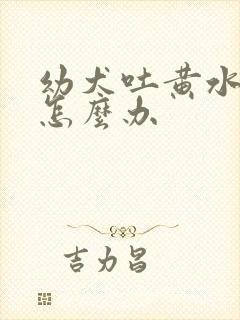 幼犬吐黄水拉稀怎么办封面