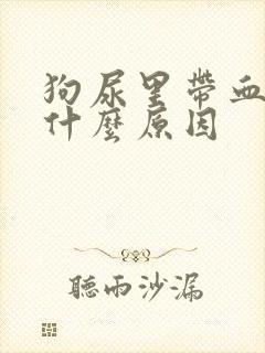 狗尿里带血块是什么原因