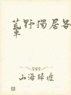 荒野独居各季冠军