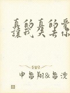 真的真的爱你别让我失去你是什么歌