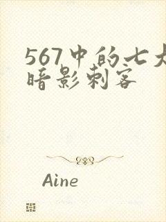 567中的七大暗影刺客