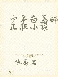 少年白马醉春风正版小说封面