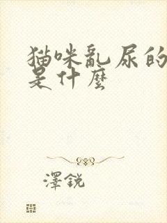 猫咪乱尿的原因是什么封面