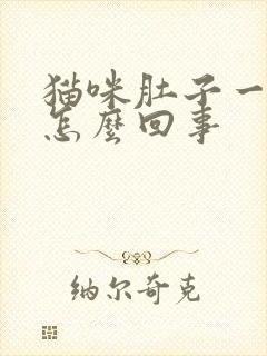 猫咪肚子一直响怎么回事