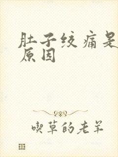 肚子绞痛是什么原因