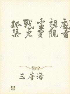 孤战电视剧40集免费观看高清版星辰