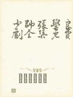 少帅张学良电视剧全集免费观看90