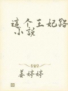 这个王妃路子野 小说