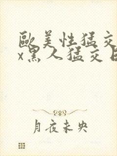 欧美性猛交xxx黑人猛交日韩