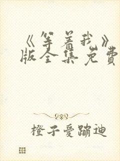 《等着我》完整版全集免费观看