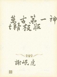 万古第一神txt精校版