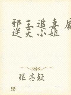 邪王追妻 废材逆天小姐