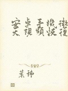 安卓手机微信聊天视频恢复软件下载