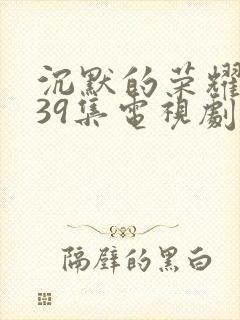 沉默的荣耀1—39集电视剧免费播放