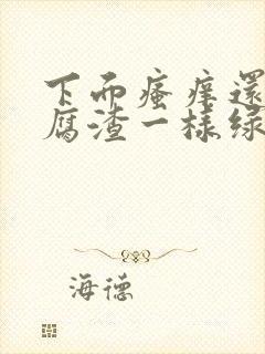 下面瘙痒还有豆腐渣一样绿色的分泌物