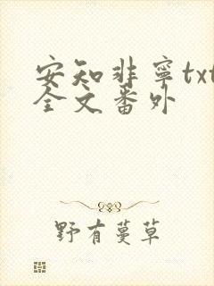 安知非宁txt全文番外