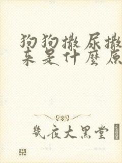 狗狗撒尿撒不出来是什么原因