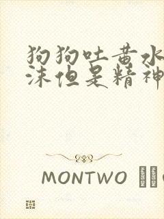 狗狗吐黄水带泡沫但是精神