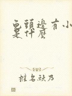 龟头边有小肉粒是什么