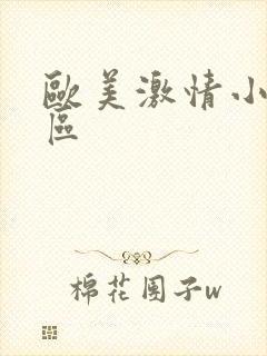 欧美激情小说一区封面