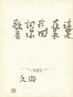歌词我在这儿等着你回来是什么歌封面