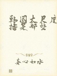 韩国大尺度女主播是哪些