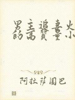 男主追妻火葬场的高质量小说