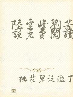 陆云峰刘芳芳小说免费阅读更新时间