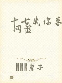 十七岁你喜欢谁 网盘