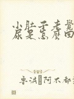 小肚子老觉得有尿是怎么回事