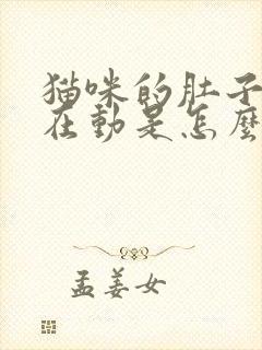 猫咪的肚子一直在动是怎么回事