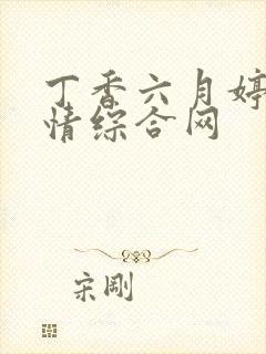 丁香六月婷婷激情综合网