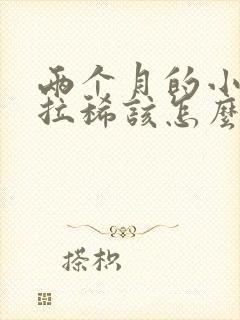 两个月的小泰迪拉稀该怎么办