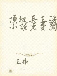 顶级兵王洛云霄小说免费阅读