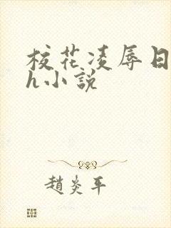 校花凌辱日记高h小说