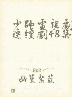 少帅电视剧免费连续剧48集