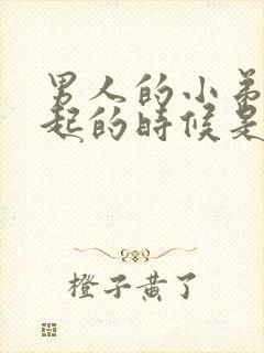 男人的小弟弟勃起的时候是哪个阶段