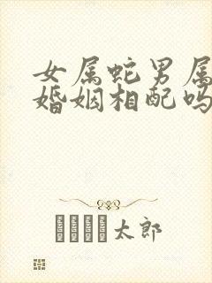 女属蛇男属兔的婚姻相配吗