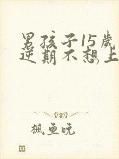 男孩子15岁叛逆期不想上学怎么办