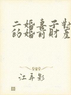 二婚妻子对丈夫的婚前财产有继承权不